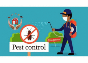 pest control services near me